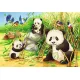Ravensburger Puzzel 2x24 stukjes 4+ Schattige koala’s en panda’s